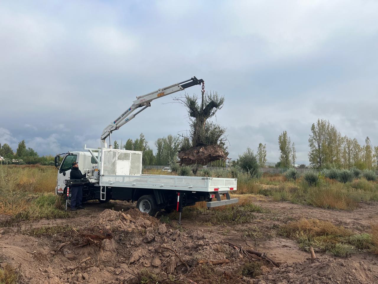 𝐇𝐈𝐍𝐎 𝐈  | Hidrogrua N-7000 (3400Kg)